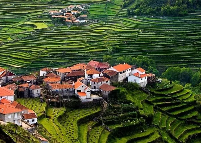 Casa Do Cacho Dağ evi